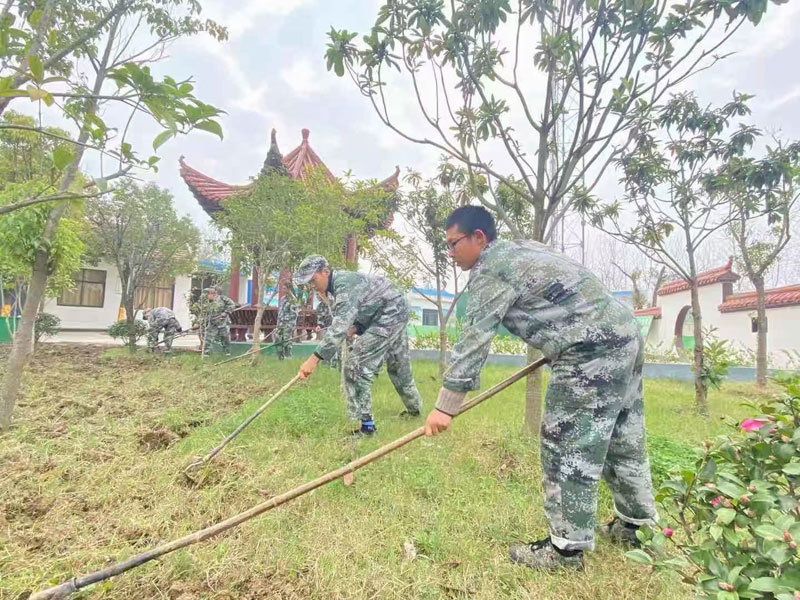劳动教育课程 实际参与